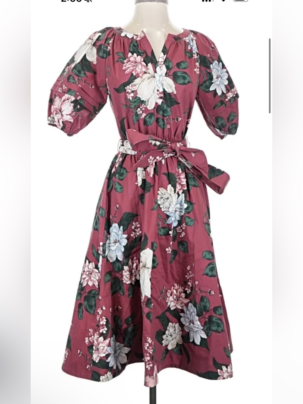 Banana Republic Red Floral Dress with Green Leaves